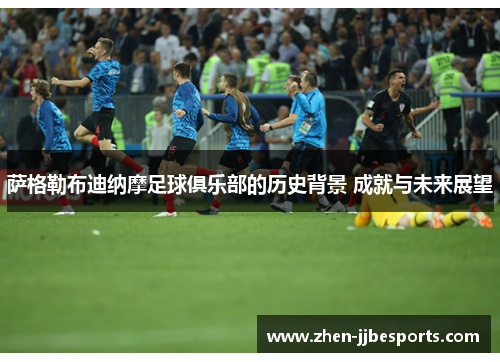 萨格勒布迪纳摩足球俱乐部的历史背景 成就与未来展望