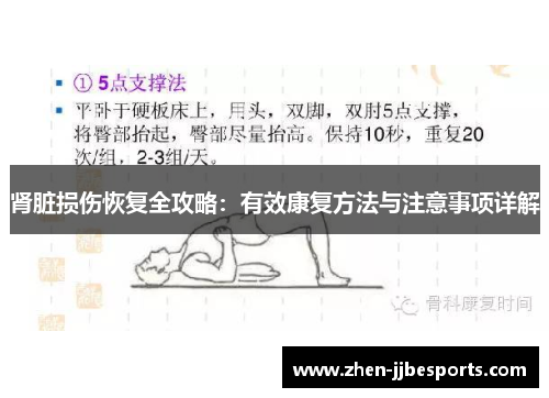 肾脏损伤恢复全攻略：有效康复方法与注意事项详解