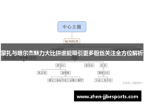 蒙扎与维尔杰魅力大比拼谁能吸引更多粉丝关注全方位解析